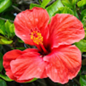 Meet your Posher, Ginette